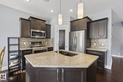 1519 Chapman Way, Edmonton, AB - Indoor Photo Showing Kitchen With Double Sink With Upgraded Kitchen