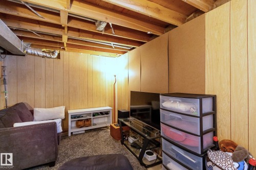 3859 85 Street, Edmonton, AB - Indoor Photo Showing Basement