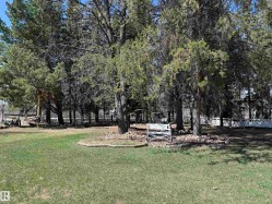 Expansive grassy area featuring mature trees and a stone-lined planter - 
