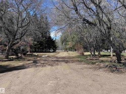 Gravel driveway surrounded by mature deciduous and evergreen trees, with visible grassy areas - 