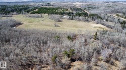 Expansive rural landscape featuring a mix of mature deciduous and evergreen trees, open fields, and distant agricultural areas - 