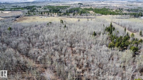 Expansive wooded acreage featuring a mix of deciduous and coniferous trees, with open land visible in the distance - 59415A Rg Rd 240, Rural Westlock County, AB - Outdoor With View