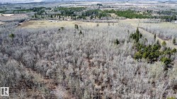 Expansive wooded acreage featuring a mix of deciduous and coniferous trees, with open land visible in the distance - 