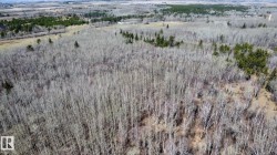 Expansive natural landscape featuring dense deciduous and evergreen tree cover - 