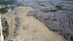 Expansive land parcel featuring open fields and dense deciduous and evergreen forests - 