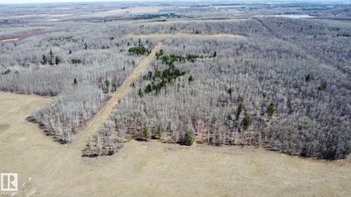 Expansive wooded landscape featuring mature deciduous trees and open fields - 59415A Rg Rd 240, Rural Westlock County, AB - Outdoor With View
