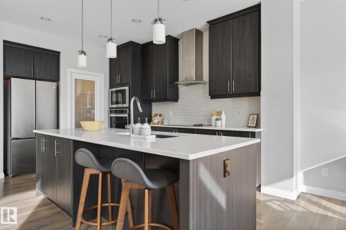 22921 94A Avenue, Edmonton, AB - Indoor Photo Showing Kitchen With Upgraded Kitchen