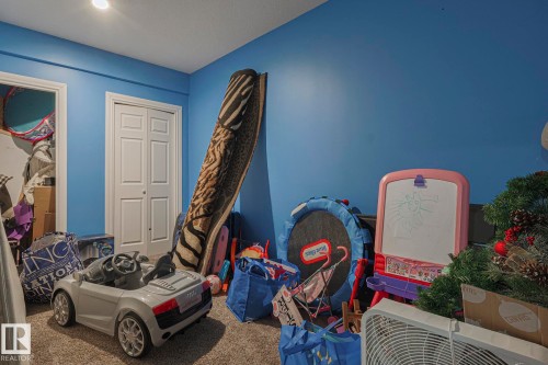 Playroom with carpet floors - 21971 91 Avenue Nw, Edmonton, AB - Indoor