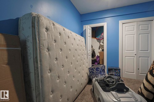 Bathroom with carpet floors and a closet - 21971 91 Avenue Nw, Edmonton, AB - Indoor