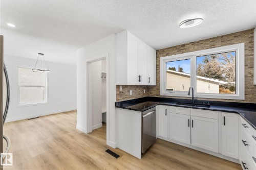 11744 37 Avenue, Edmonton, AB - Indoor Photo Showing Kitchen With Double Sink