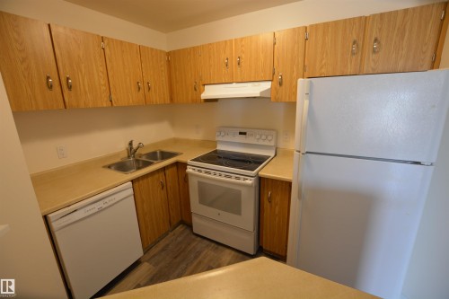 304 10511 19 Avenue, Edmonton, AB - Indoor Photo Showing Kitchen With Double Sink