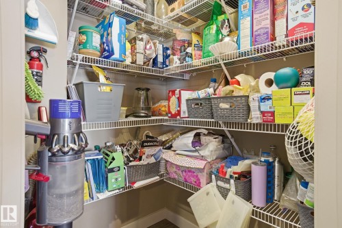 2614 Blue Jay Close, Edmonton, AB - Indoor With Storage