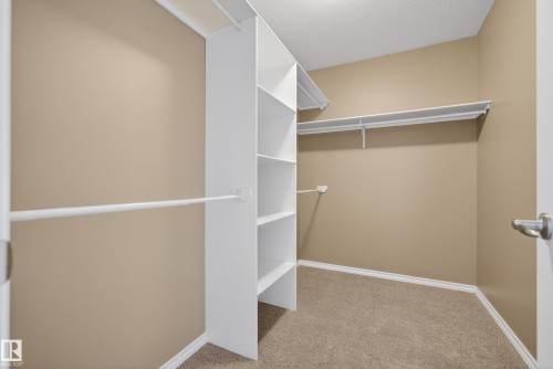 Walk in closet featuring light colored carpet - 19 Country Lane, Stony Plain, AB - Indoor With Storage