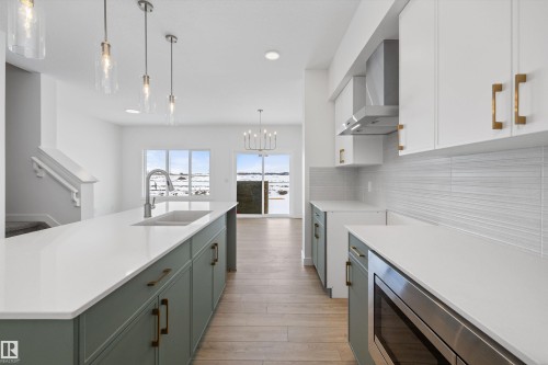 544 176 Avenue, Edmonton, AB - Indoor Photo Showing Kitchen With Double Sink With Upgraded Kitchen