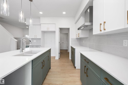 8732 183 Avenue, Edmonton, AB - Indoor Photo Showing Kitchen With Double Sink With Upgraded Kitchen