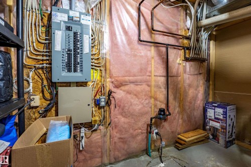 2721 Miles Place, Edmonton, AB - Indoor Photo Showing Basement