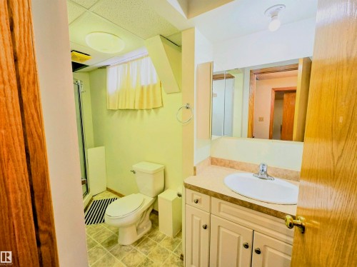 Bathroom with vanity and a stall shower - 2 4403 Riverbend Road, Edmonton, AB - Indoor Photo Showing Bathroom