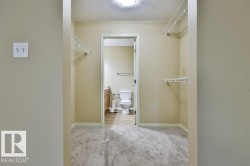 Carpeted walk-in closet featuring wire shelving and direct access to a bathroom with wood-finish flooring - 