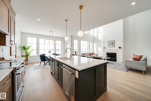 82 Chelles Wynd, St. Albert, AB - Indoor Photo Showing Kitchen With Fireplace With Upgraded Kitchen