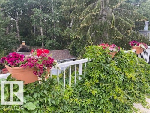 View of yard - 206 Wolf Willow Crescent, Edmonton, AB - Outdoor