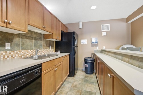 208 278 Suder Greens Drive Nw, Edmonton, AB - Indoor Photo Showing Kitchen With Double Sink