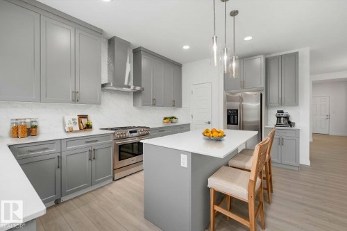 8728 183 Avenue, Edmonton, AB - Indoor Photo Showing Kitchen With Upgraded Kitchen