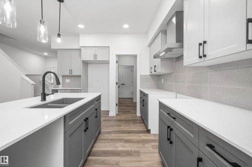 8724 183 Avenue, Edmonton, AB - Indoor Photo Showing Kitchen With Double Sink With Upgraded Kitchen