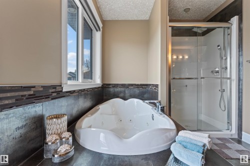1254 Adamson Drive, Edmonton, AB - Indoor Photo Showing Bathroom