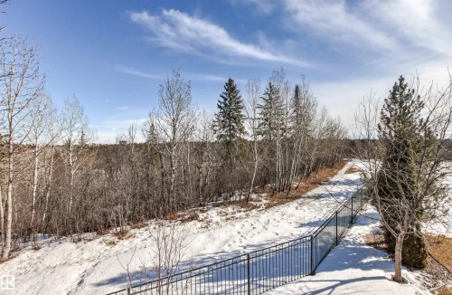 9 Butterworth Point(E), Edmonton, AB - Outdoor With View