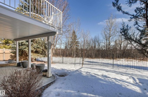 9 Butterworth Point(E), Edmonton, AB - Outdoor With Balcony