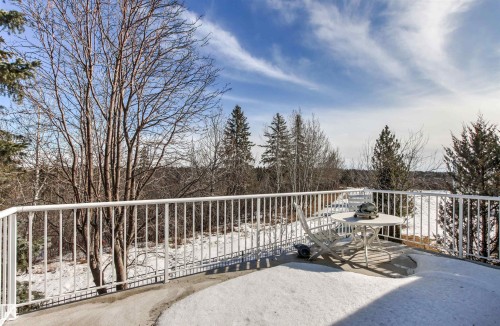 9 Butterworth Point(E), Edmonton, AB - Outdoor With Balcony