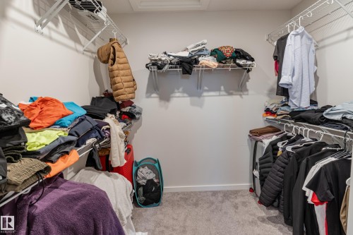 Walk in closet with light colored carpet and attic access - 304 36 Avenue, Edmonton, AB - Indoor With Storage