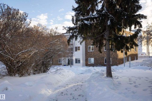 Snow covered rear of property with stone siding - 207 11465 41 Avenue, Edmonton, AB - Outdoor