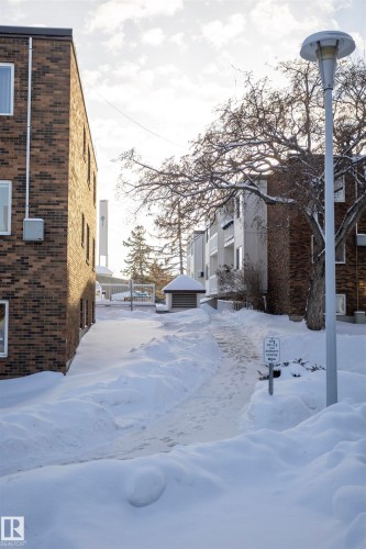 View of yard layered in snow - 207 11465 41 Avenue, Edmonton, AB - Outdoor