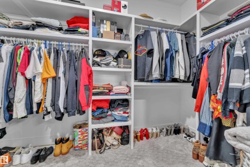 Walk in closet featuring carpet - 16812 48 Street Nw, Edmonton, AB - Indoor With Storage