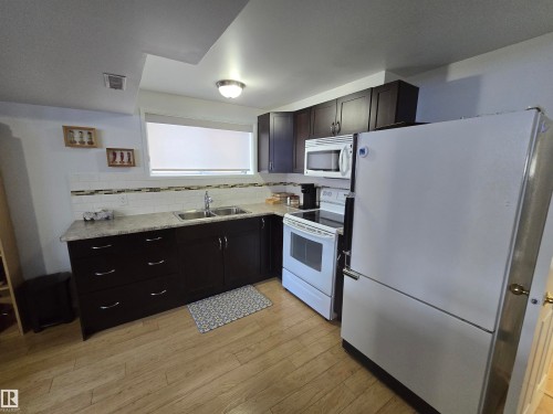 10282 87 Street, Edmonton, AB - Indoor Photo Showing Kitchen With Double Sink