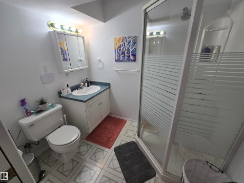10282 87 Street, Edmonton, AB - Indoor Photo Showing Bathroom