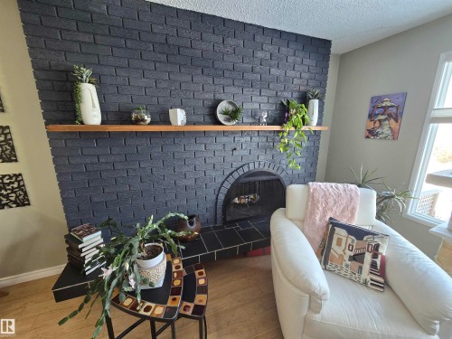 10282 87 Street, Edmonton, AB - Indoor With Fireplace