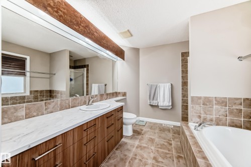 351 Griesbach School Road, Edmonton, AB - Indoor Photo Showing Bathroom