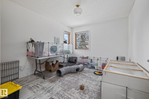 Game room with a textured ceiling and carpet flooring - 175 Roy Street, Edmonton, AB - Indoor