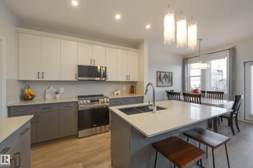 4869 Kinney Road, Edmonton, AB - Indoor Photo Showing Kitchen With Double Sink