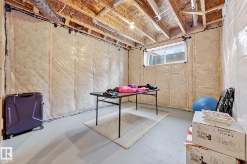 431 Conroy Crescent, Edmonton, AB - Indoor Photo Showing Basement