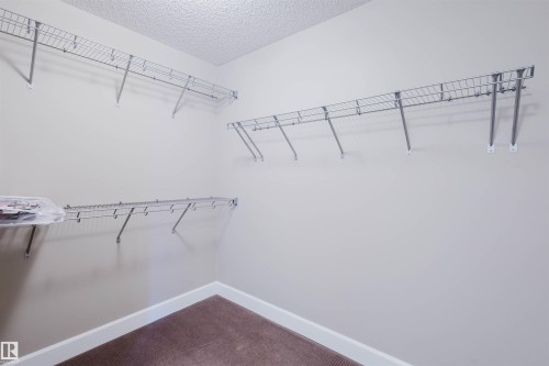 Walk in closet with carpet - 1957 Ainslie Link, Edmonton, AB - Indoor With Storage