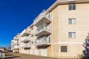 #246 13441 127 Street, Edmonton, AB  - Outdoor With Balcony 
