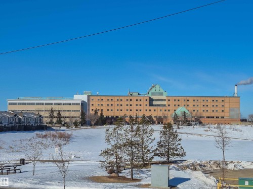 View of yard covered in snow - 213 5065 31 Avenue, Edmonton, AB - Outdoor With View