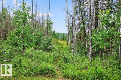 129 50529 Rge Road 21, Rural Parkland County, AB - Outdoor