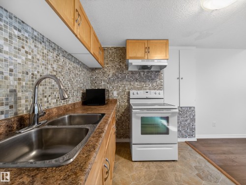 11933 77 Street, Edmonton, AB - Indoor Photo Showing Kitchen With Double Sink