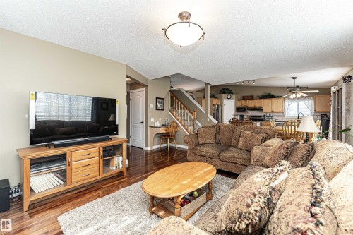 19047 51 Avenue, Edmonton, AB - Indoor Photo Showing Living Room