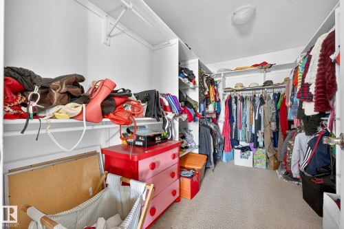 Walk in closet with carpet - 1660 Malone Way, Edmonton, AB - Indoor With Storage