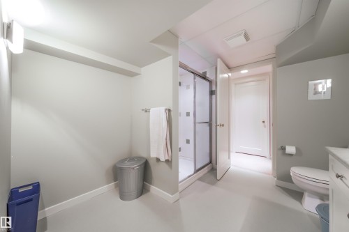 Full bathroom featuring a stall shower and vanity - 10445 134 Street, Edmonton, AB - Indoor Photo Showing Bathroom